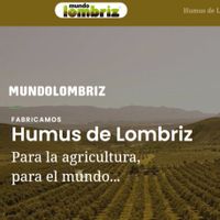 mundolombriz